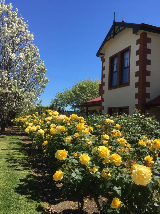 Wine And Roses Bed And Breakfast Adelaide Luaran gambar